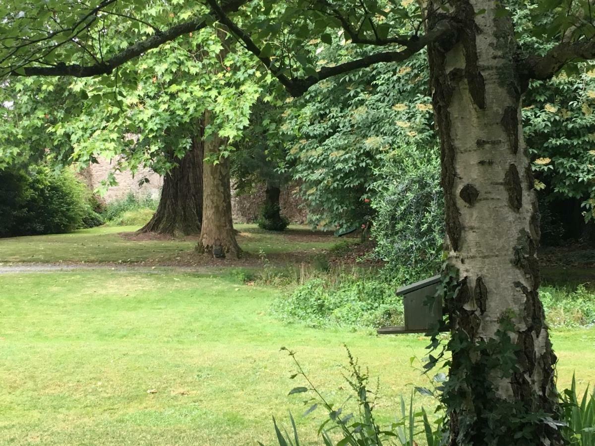 Au Rez De Jardin Hotell Cholet Exteriör bild