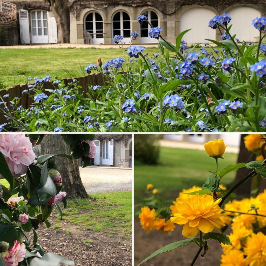 Au Rez De Jardin Hotell Cholet Exteriör bild