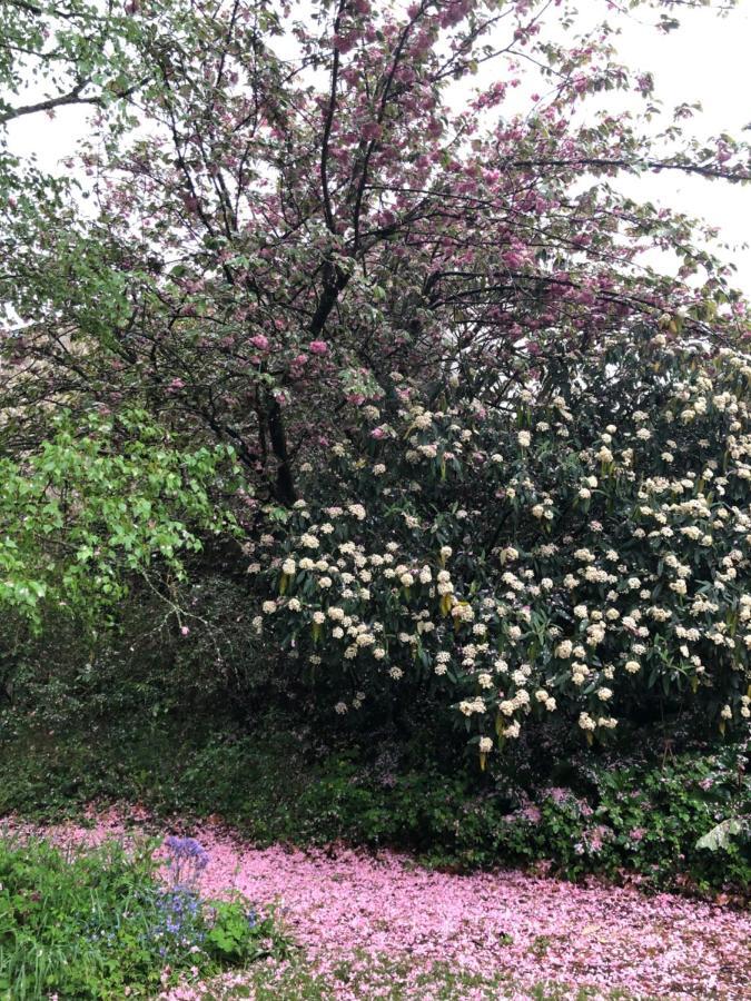 Au Rez De Jardin Hotell Cholet Exteriör bild