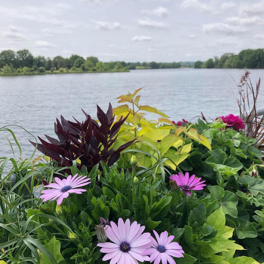 Au Rez De Jardin Hotell Cholet Exteriör bild