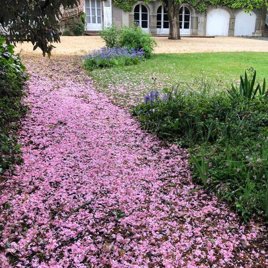 Au Rez De Jardin Hotell Cholet Exteriör bild