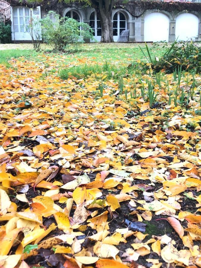 Au Rez De Jardin Hotell Cholet Exteriör bild