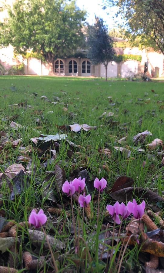 Au Rez De Jardin Hotell Cholet Exteriör bild